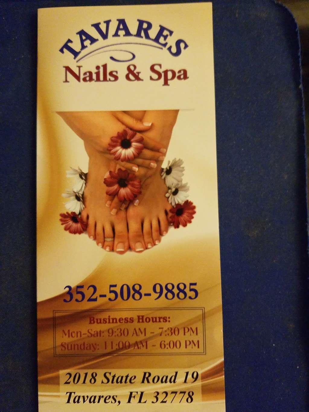 Tavares Nails & Spa | 2018 State Rd 19, Tavares, FL 32778 | Phone: (352) 508-9885