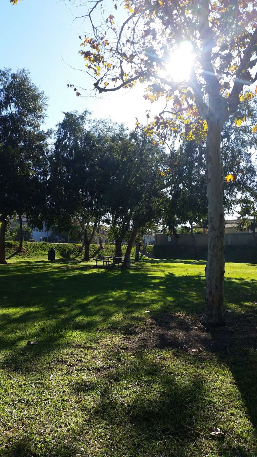 Cherry Cove Park | 2136 Denmead St, Lakewood, CA 90712, USA