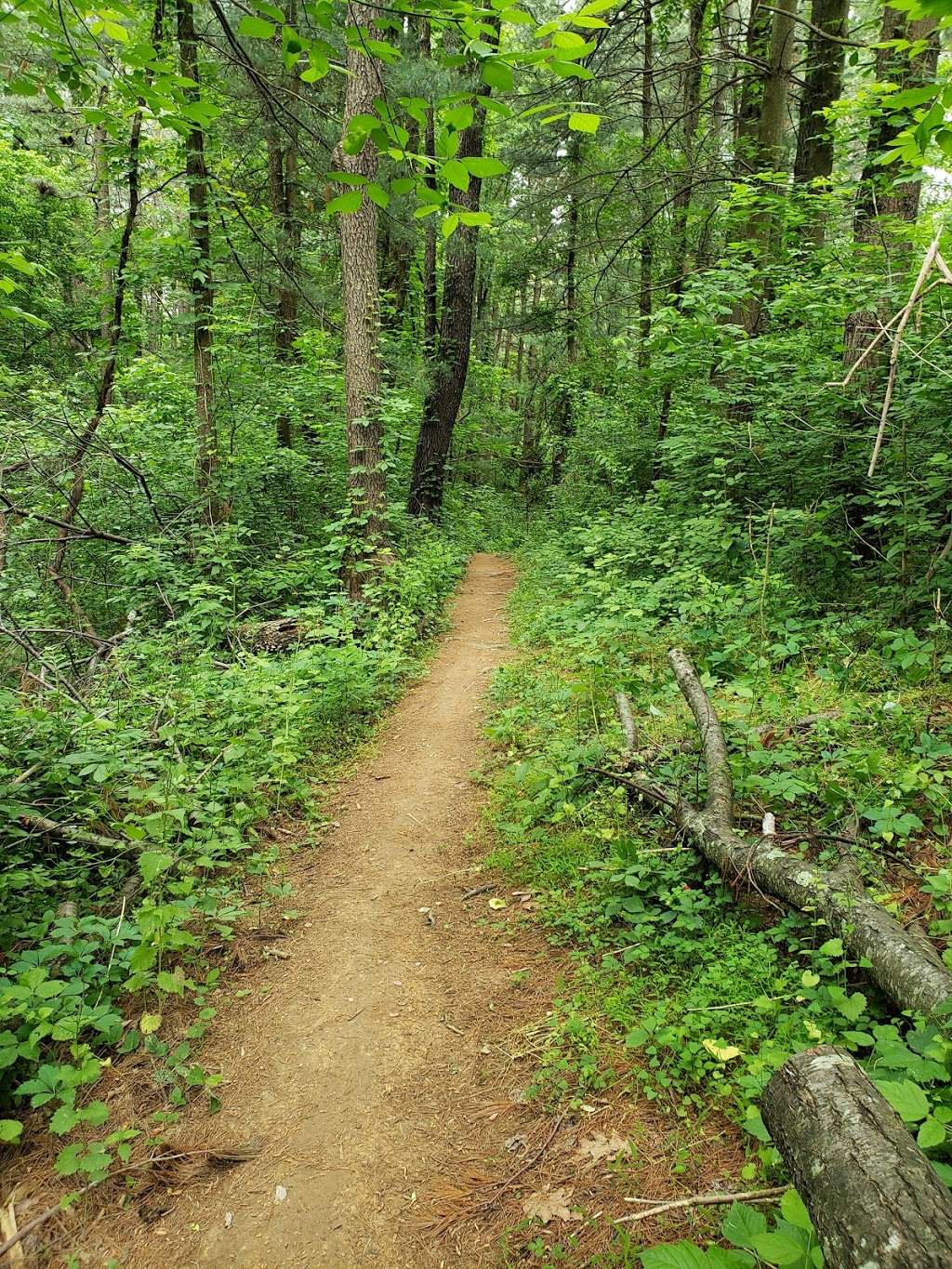 Green Trail | Unnamed Road, Germantown, MD 20874, USA