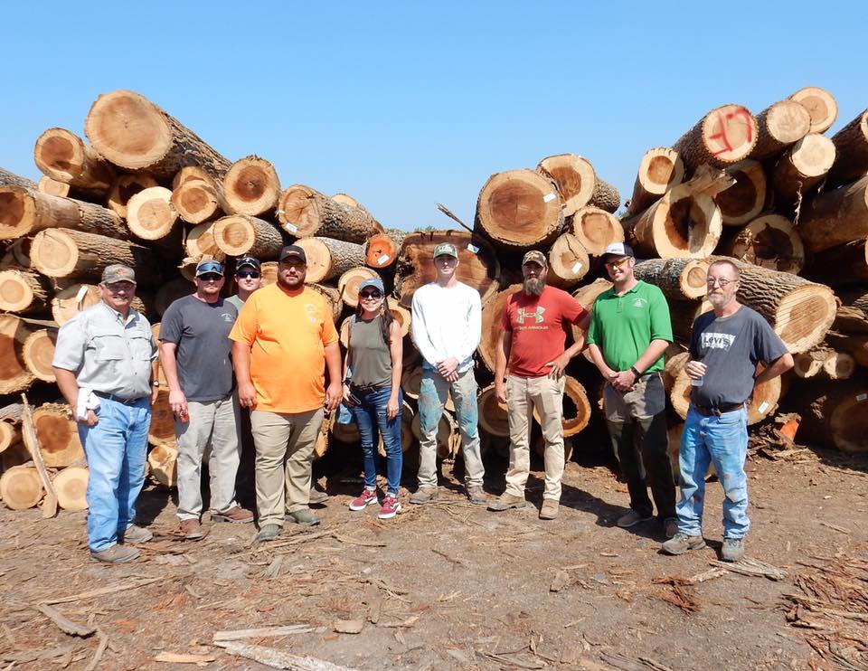 Timber Marketing & Management | 9520 Iron Bridge Rd Suite 13, Chesterfield, VA 23832 | Phone: (804) 796-9622