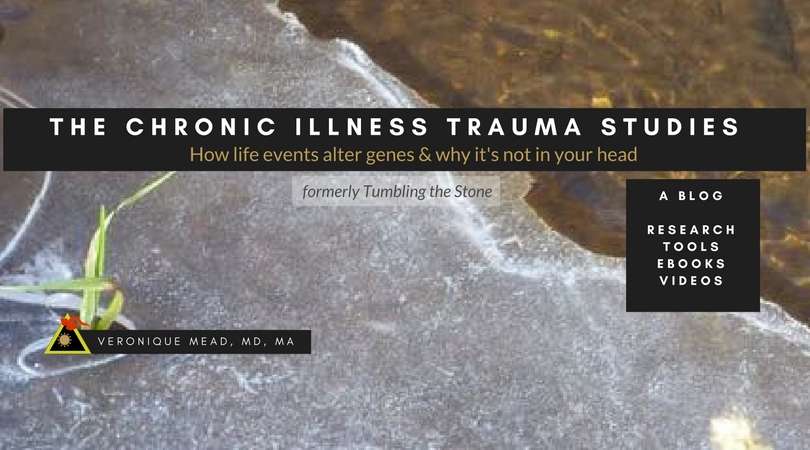 Chronic Illness Trauma Studies | 7105 La Vista Pl #150, Longmont, CO 80503, USA