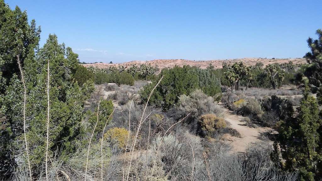 Barrel Springs Hiking Trail | Barrel Springs Rd, Palmdale, CA 93550, USA