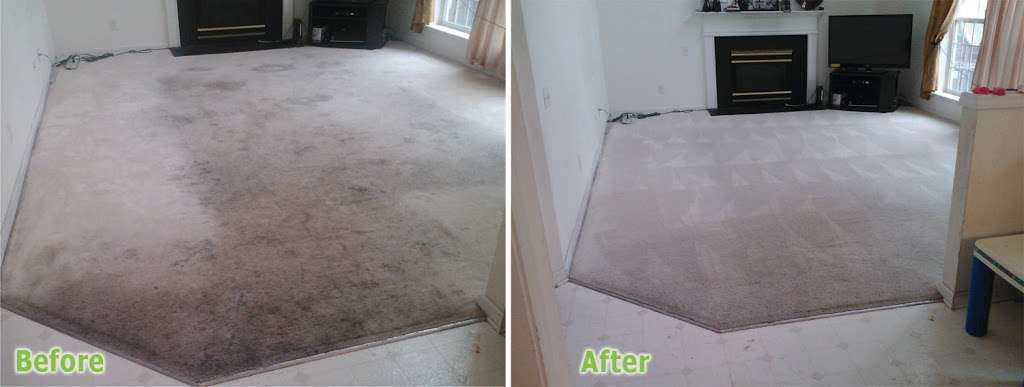 A1 Carpet cleaner & Upholstery Specialists | 1110 6th Ave S, Lake Worth, FL 33461 | Phone: (561) 421-1377