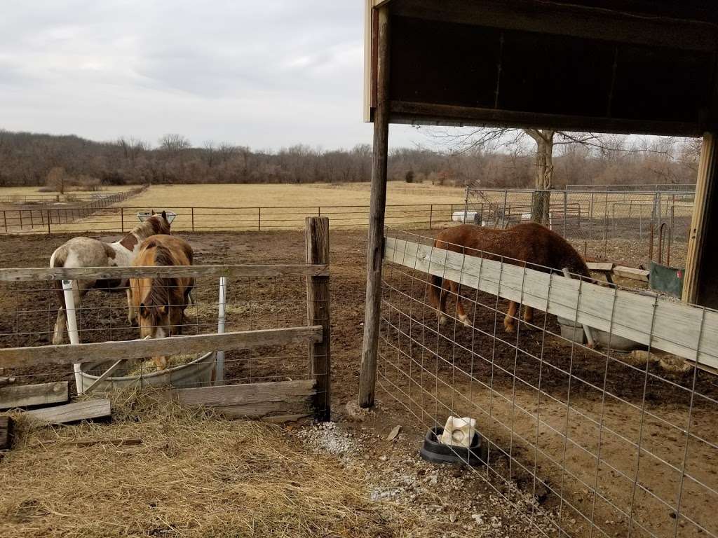 James A. Reed Memorial Wildlife Area | 12405 SE Ranson Rd, Lees Summit, MO 64082, USA | Phone: (816) 622-0900