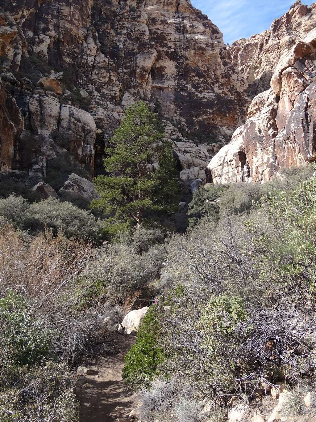 Lost Creek Canyon Trail and Childrens Discovery Trail | La Madre Spring, Las Vegas, NV 89161, USA