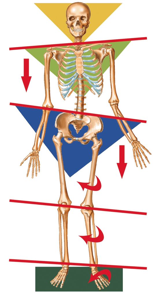 Dr. Steven Moon, Concord Chiropractic, Inc. | 5167 Clayton Rd Suite A2, Concord, CA 94521, USA | Phone: (925) 682-8400