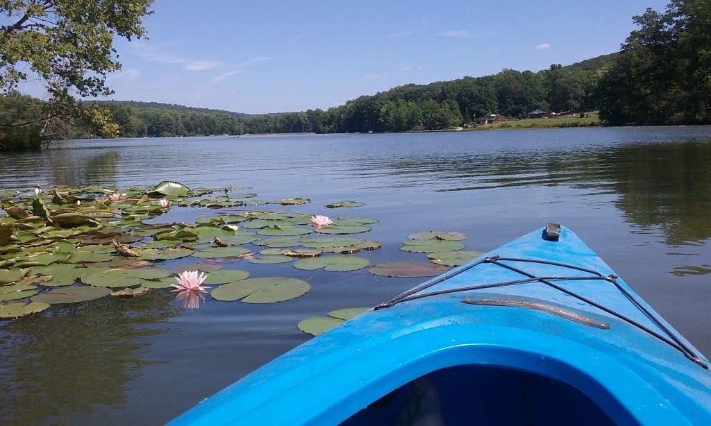 French Creek Pennsylvania State Park Trails | 9523, 843 Park Rd, Elverson, PA 19520, USA | Phone: (610) 582-9680