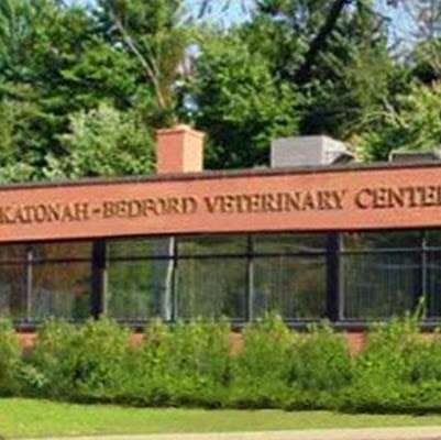 Katonah Bedford Veterinary Center | 546 N Bedford Rd, Bedford Hills, NY 10507, USA | Phone: (914) 241-7700