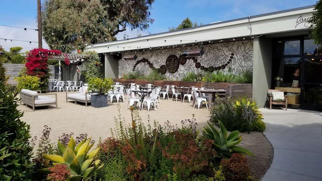 Great Lawn | Avenue of the Palms, San Francisco, CA 94130, USA | Phone: (415) 274-0688