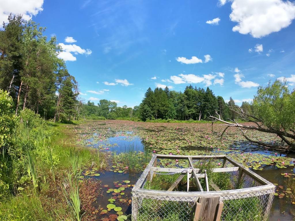 Reinstein Woods Nature Preserve | 93 Honorine Dr, Depew, NY 14043, USA | Phone: (716) 683-5959