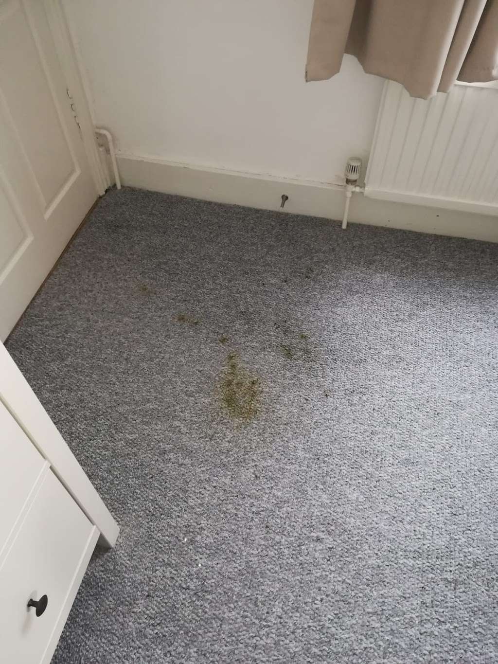 Number ONE Carpet Cleaning | 17 Tildesley Rd, London SW15 3AA, UK | Phone: 020 3632 3212