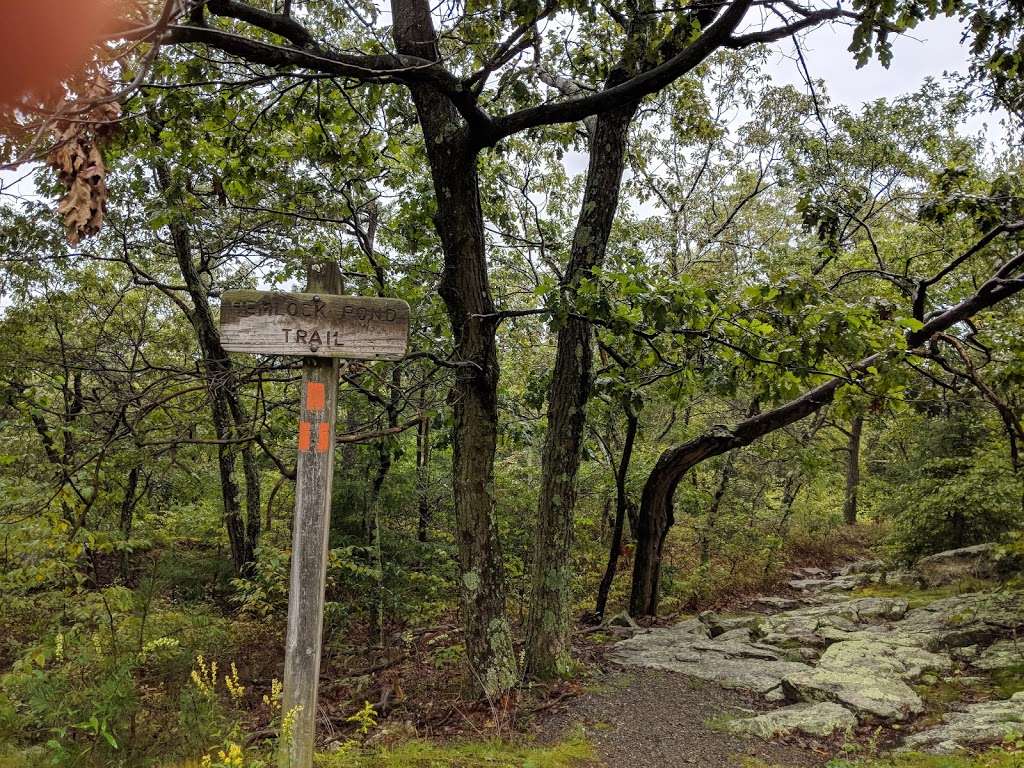 Appalachian Trail | Unnamed Road, Layton, NJ 07851, USA