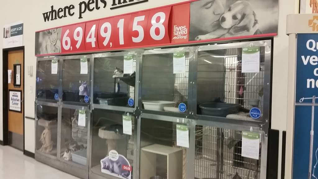 PetSmart | 8230 Kirby Dr, Houston, TX 77054, USA | Phone: (713) 662-2553