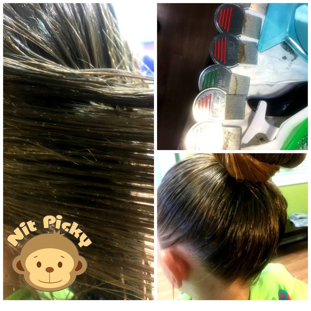 Nit Picky Lice Salon | 43053 Margarita Rd B108, Temecula, CA 92592, USA | Phone: (951) 676-8929