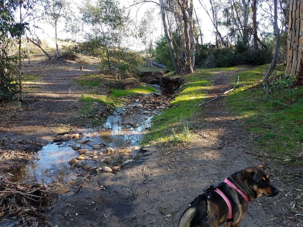 Chollas Lake Gloria Mesa Parking Lot and Playground | 5997 College Grove Dr, San Diego, CA 92115, USA