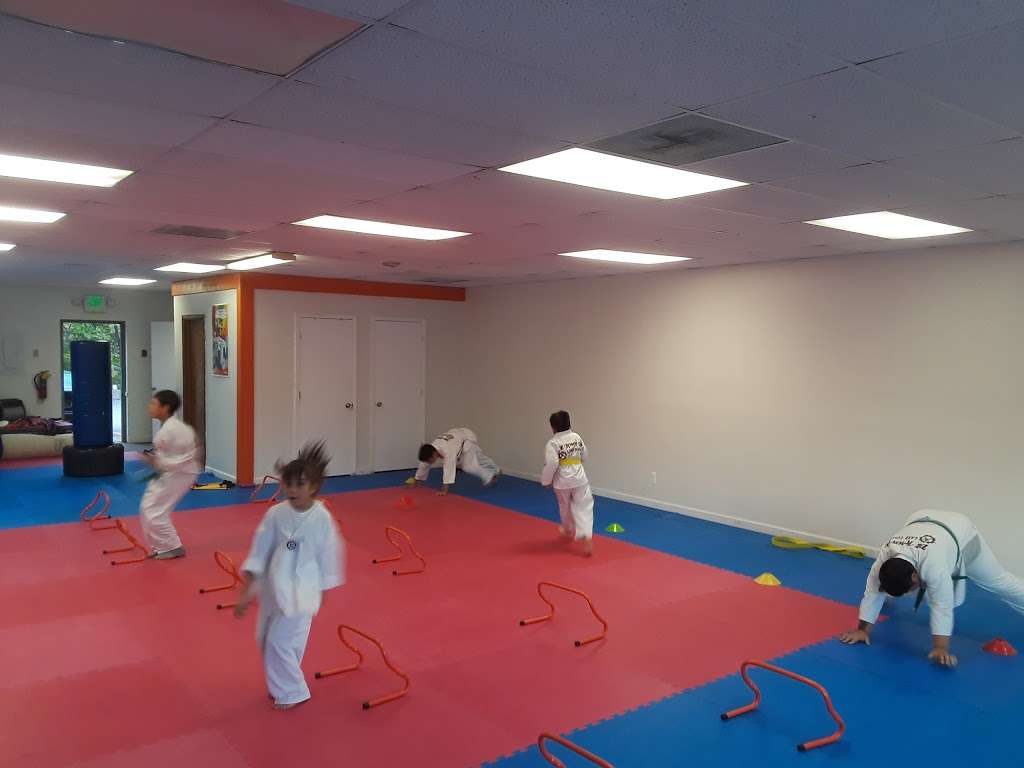 Lake County Taekwondo Martial Arts | 2460 81st Ave, Merrillville, IN 46410 | Phone: (219) 402-2082