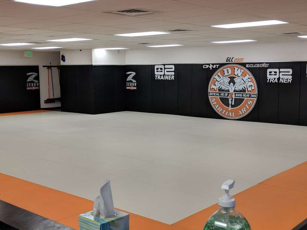 Ludwig Martial Arts | 9140 W 100th Ave A1, Broomfield, CO 80021 | Phone: (720) 589-8792