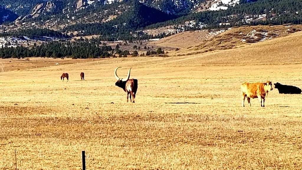 Marshall trailhead | 1024 Marshall Rd, Louisville, CO 80027