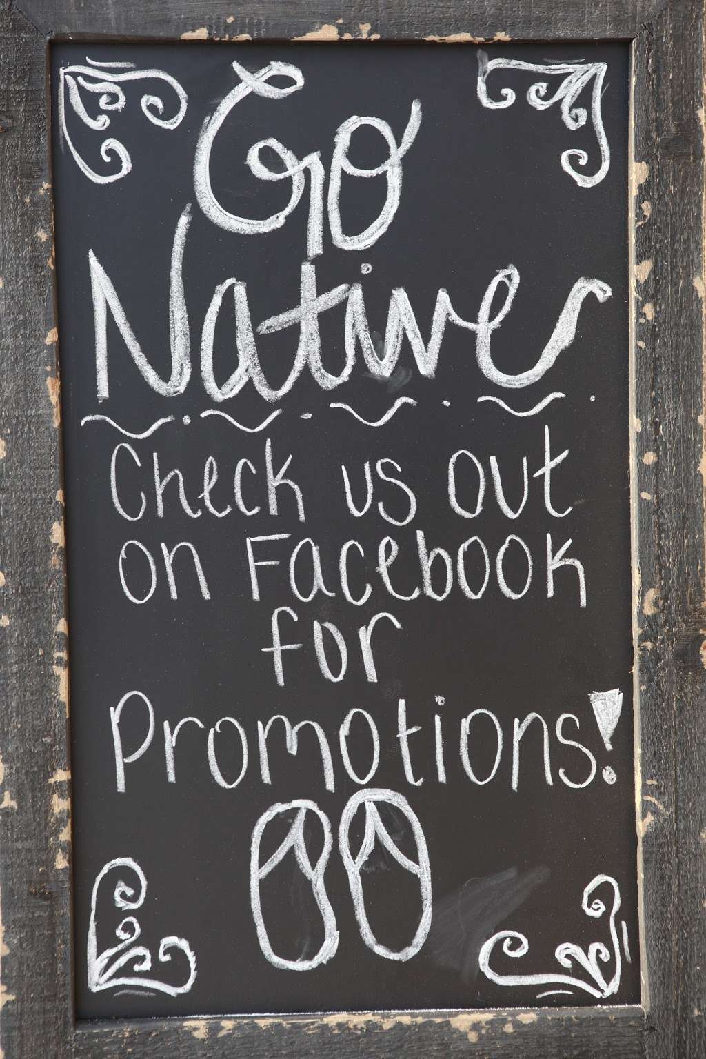 Go Native | 3626 S Washington Ave, Titusville, FL 32780, USA | Phone: (321) 267-1050