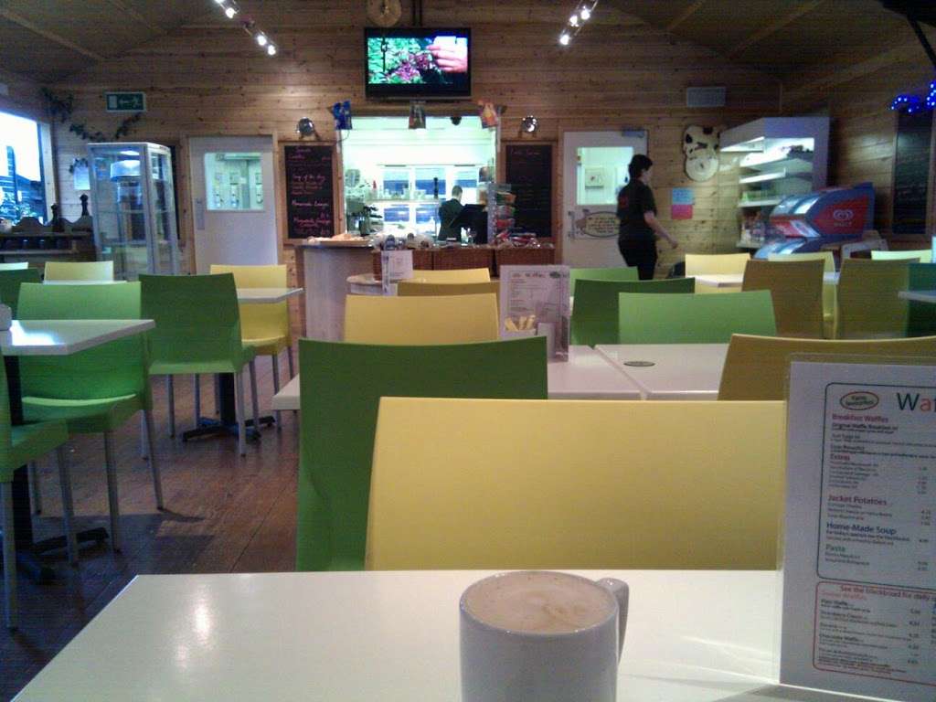 The Waffle Cafe | Belmont Farm, The Ridgeway, London, Mill Hill NW7 1QT, UK | Phone: 020 8959 3308