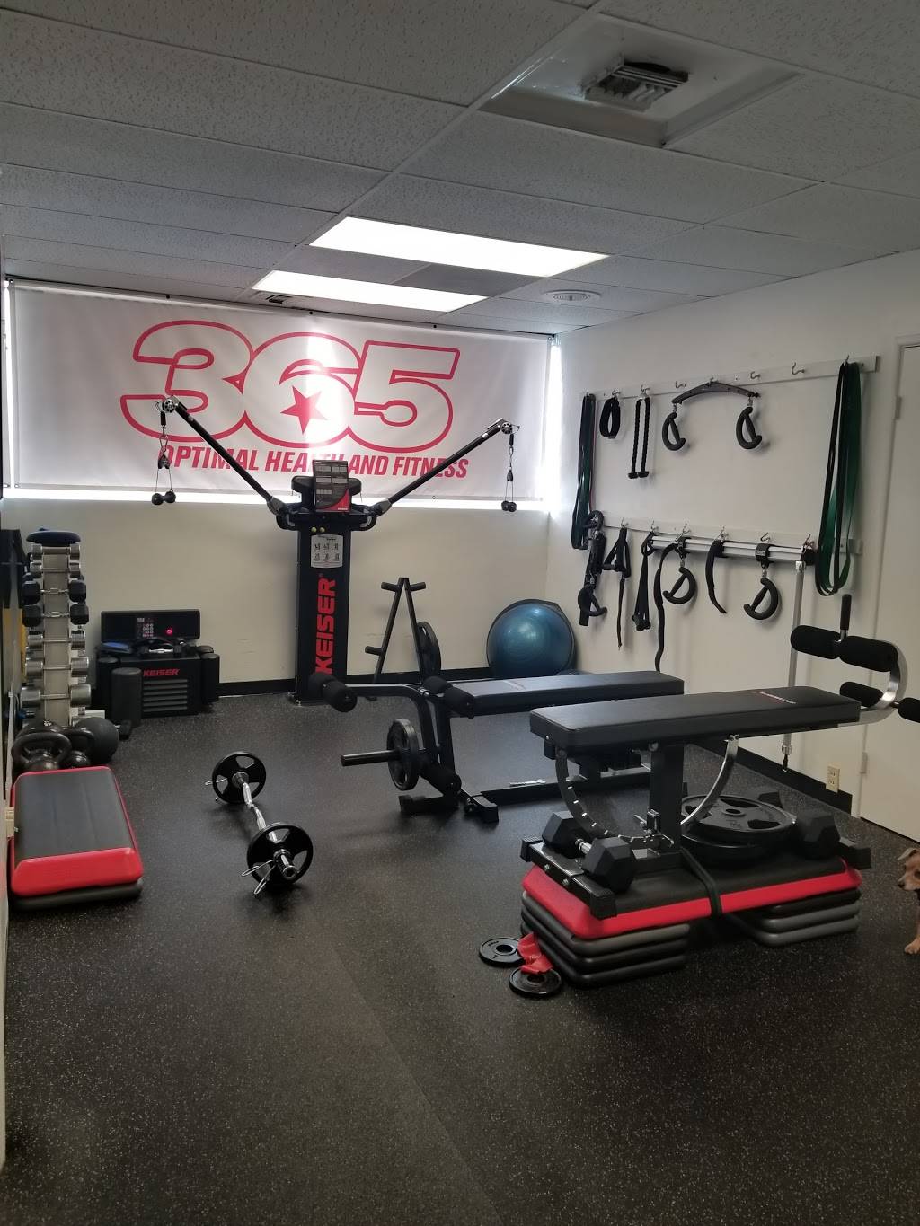 365 Optimal Health And Fitness | 3065 Rosecrans Pl #107, San Diego, CA 92110, USA | Phone: (619) 920-8600