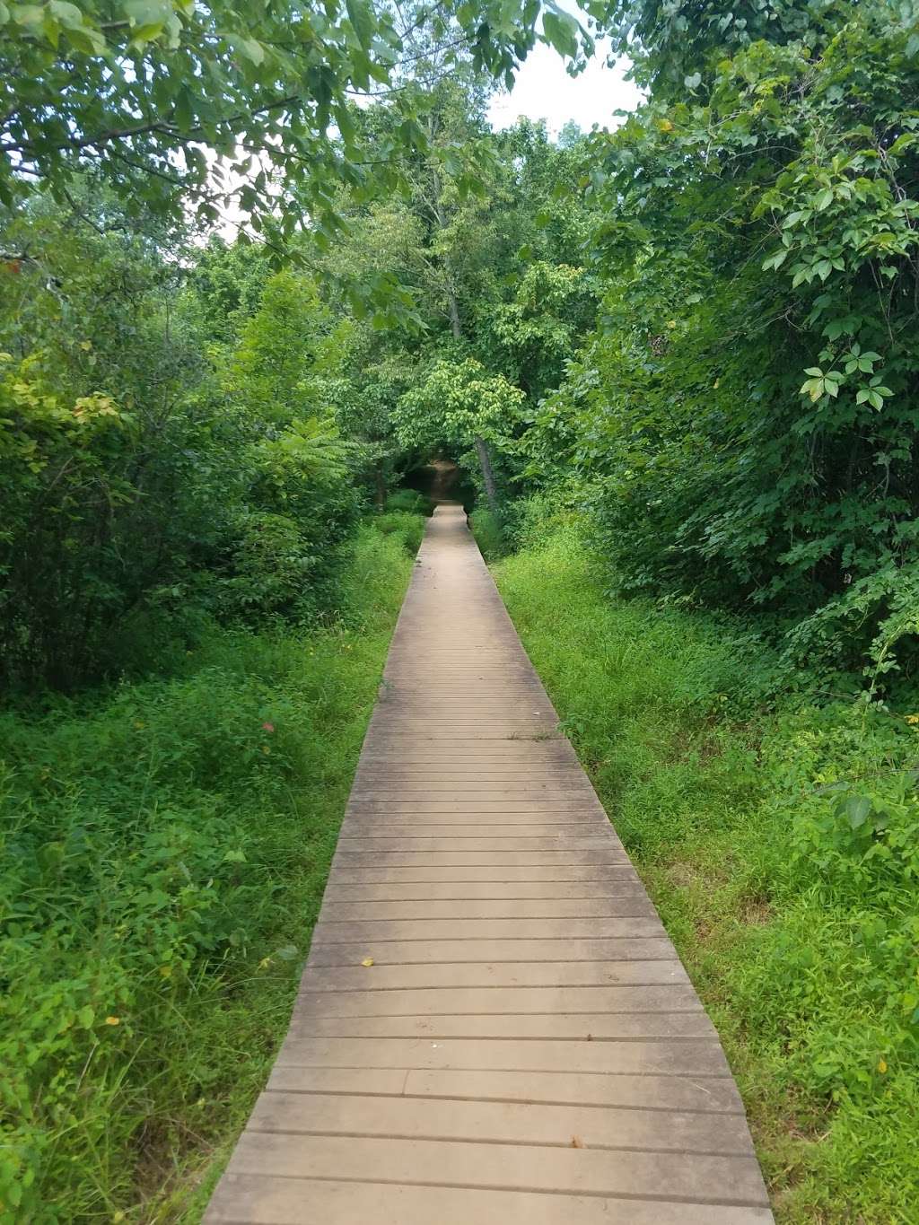 AT-Front Royal Junction | Appalachian Trail, Front Royal, VA 22630, USA