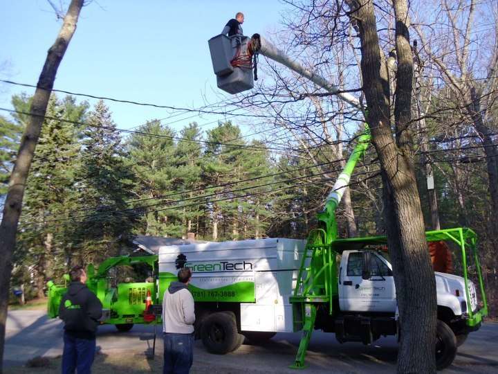 Greentech Tree Care | 41 Union St, Holbrook, MA 02343 | Phone: (781) 767-3888