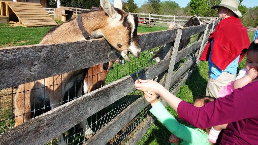 Agricultural History Farm Park | 18400 Muncaster Rd, Derwood, MD 20855, USA | Phone: (301) 948-5053