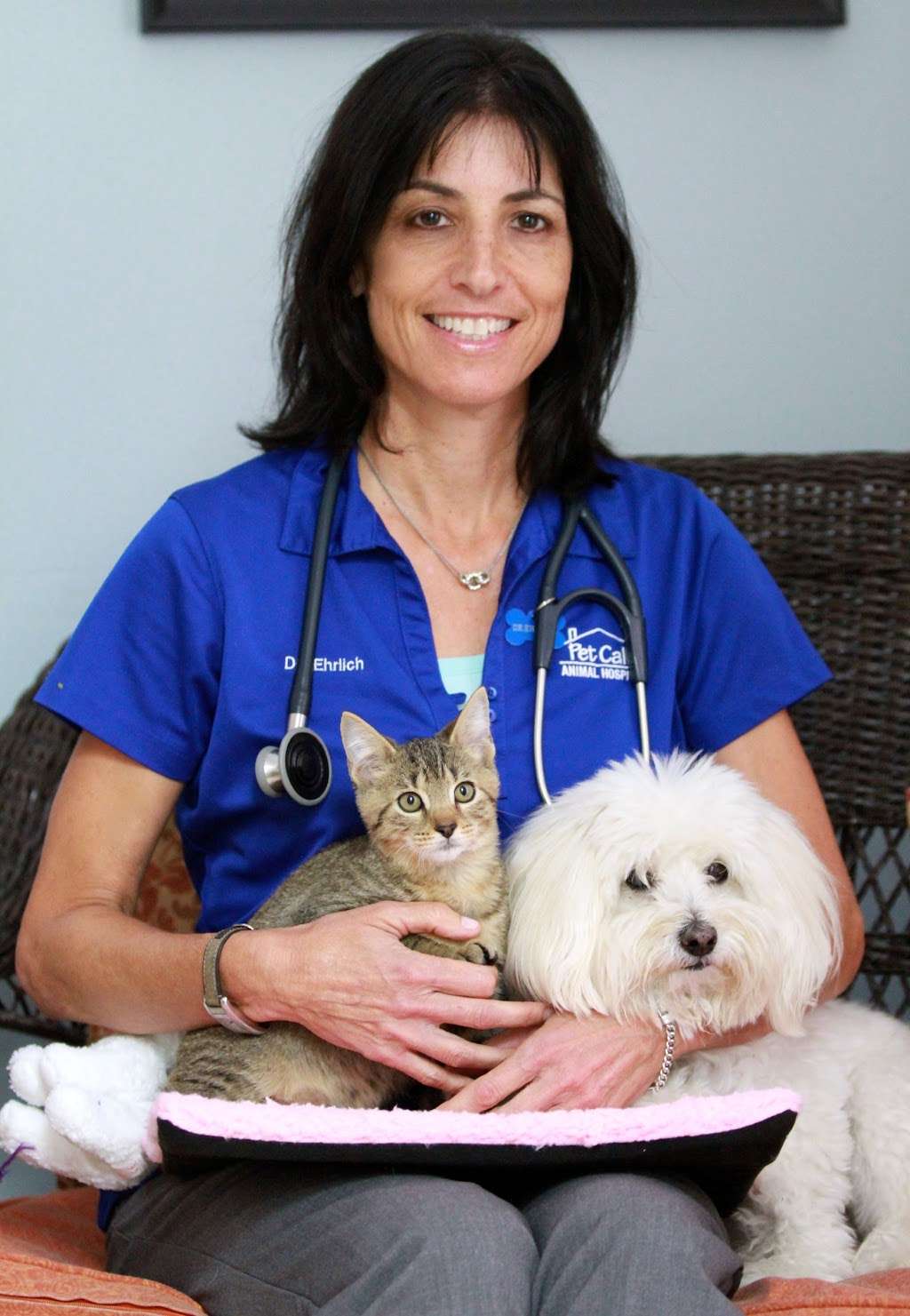 Pet Calls Animal Hospital | 6538 Hypoluxo Rd, Lake Worth, FL 33467, USA | Phone: (561) 434-2097