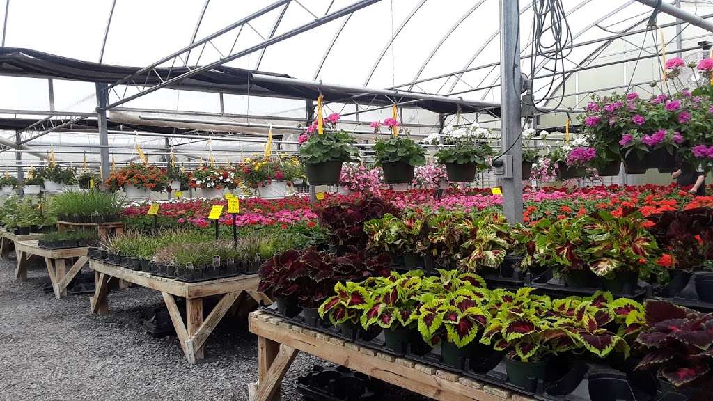 Colonial Farm Nursery | 9008 Tuscarora Pike, Martinsburg, WV 25403 | Phone: (304) 263-5232