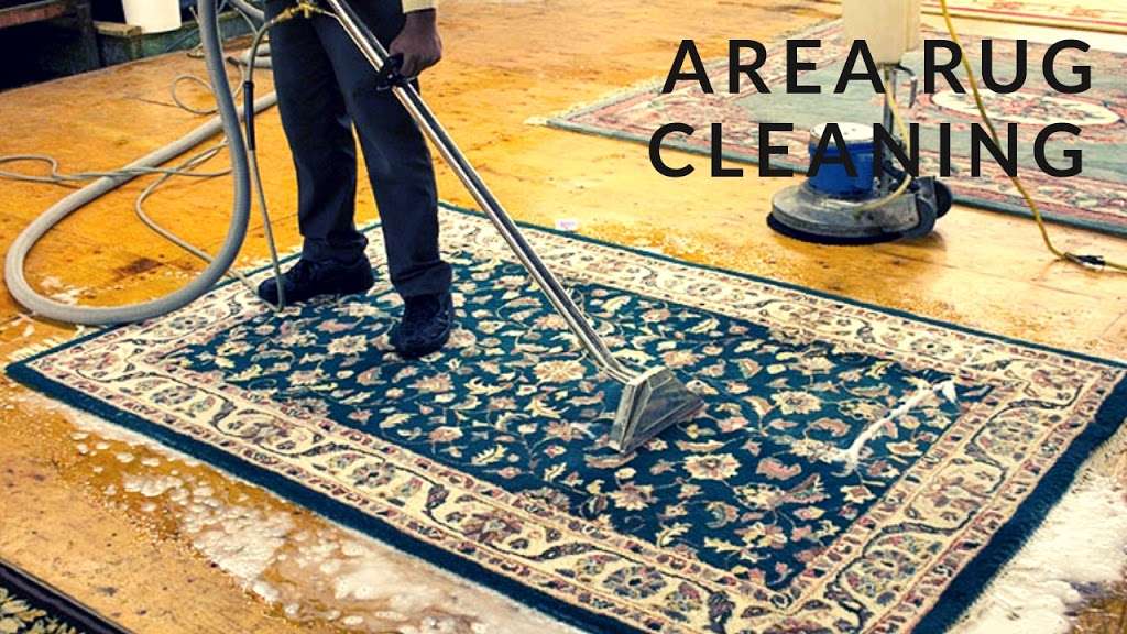 Ecogreen Pro: Carpet Cleaning Services | 109 Founders Ct, Bethlehem, PA 18020 | Phone: (833) 994-7336