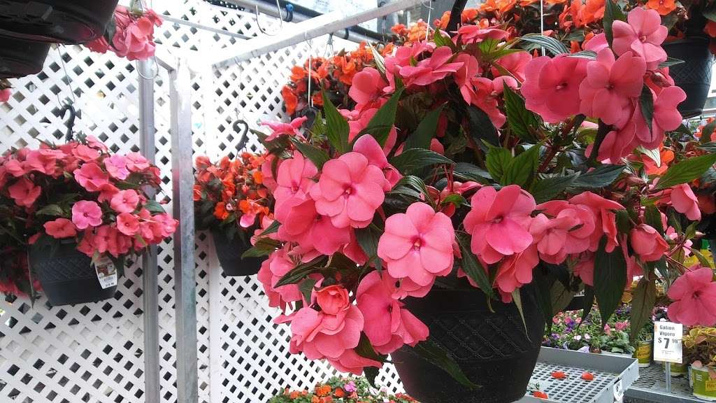 Garden Center at The Home Depot | 701 Boston Post Rd E, Marlborough, MA 01752, USA | Phone: (508) 357-2223