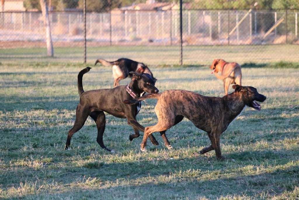 Civic Center Dog Park | 14999 Dale Evans Pkwy, Apple Valley, CA 92307, USA | Phone: (760) 240-7000