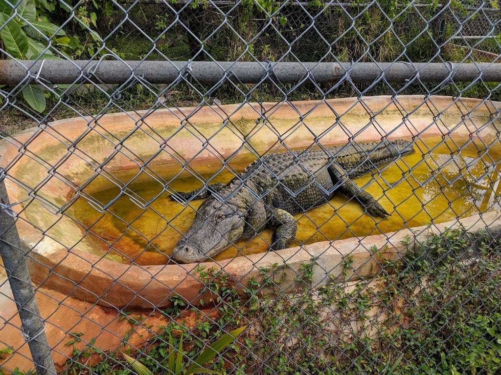 Coopertown The Original Airboat Tour | 22700 SW 8th St, Miami, FL 33194, USA | Phone: (305) 226-6048