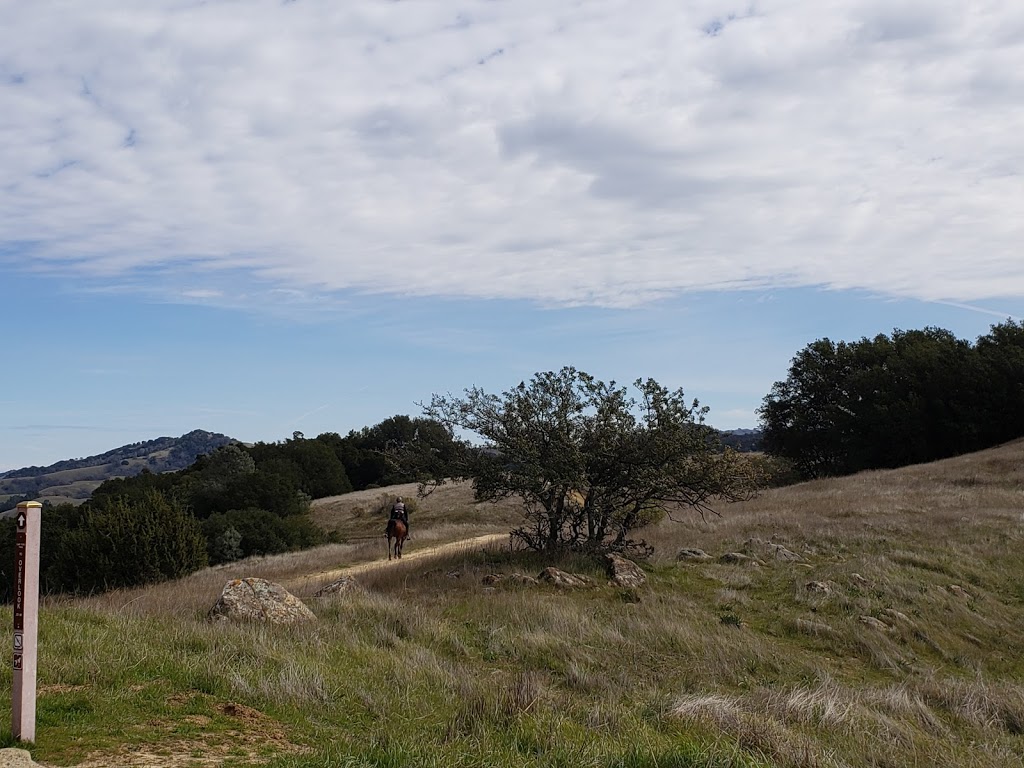 Curry Point, Mt. Diablo State Park | S Gate Rd, Blackhawk, CA 94506, USA