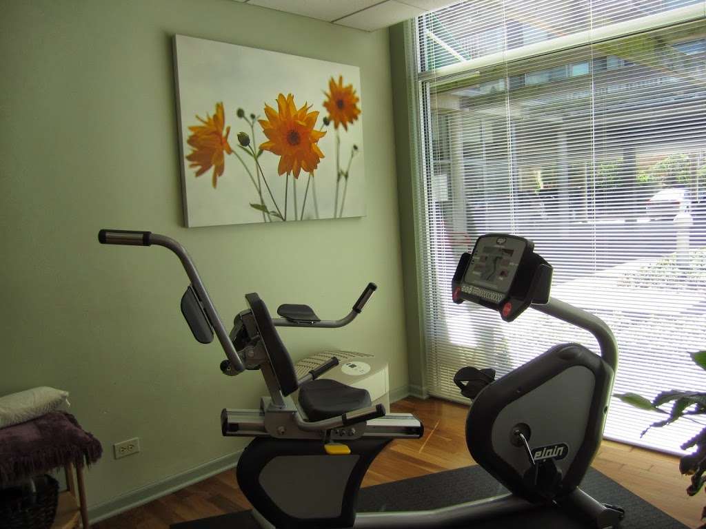 Healing Tree Physical Therapy & Wellness | 1100 Central Ave, Wilmette, IL 60091, USA | Phone: (847) 512-4070