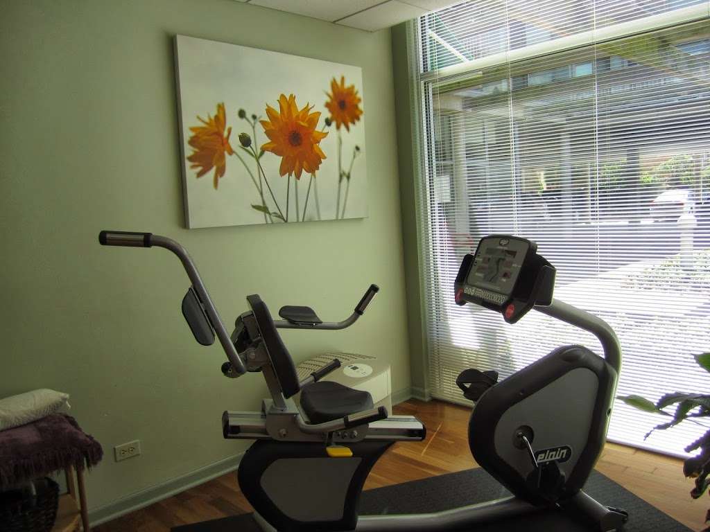 Healing Tree Physical Therapy & Wellness | 1100 Central Ave, Wilmette, IL 60091 | Phone: (847) 512-4070