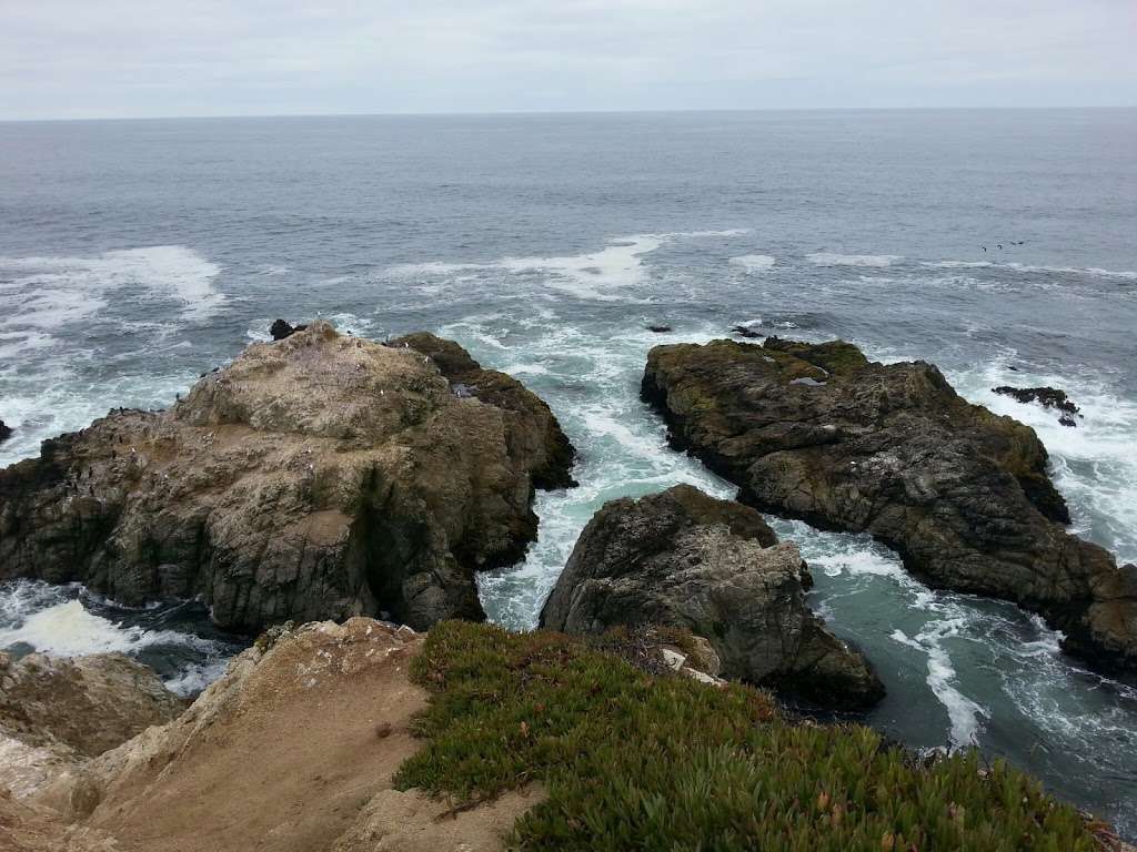 Doran Regional Park | 201 Doran Beach Rd, Bodega Bay, CA 94923, USA | Phone: (707) 875-3540