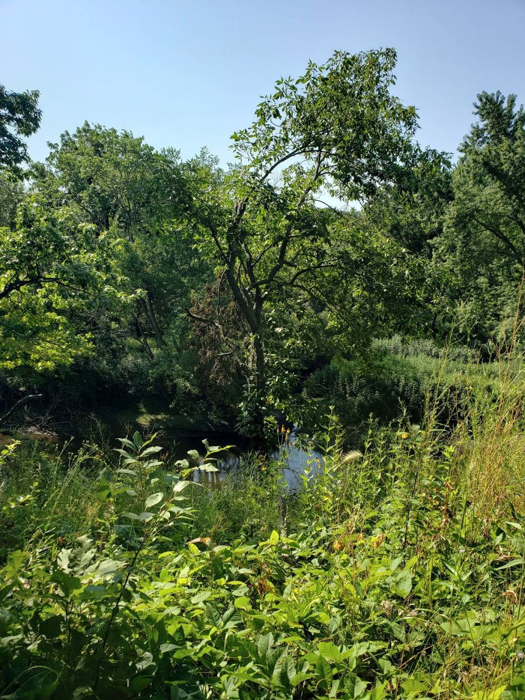 Merwin Nature Preserve | 25777 N 1925 East Rd, Lexington, IL 61753, USA