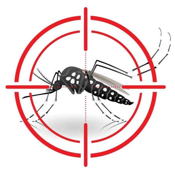 Mass Mosquito & Tick Control | 76 Old Farm Ln, Attleboro, MA 02703, USA | Phone: (508) 639-0313