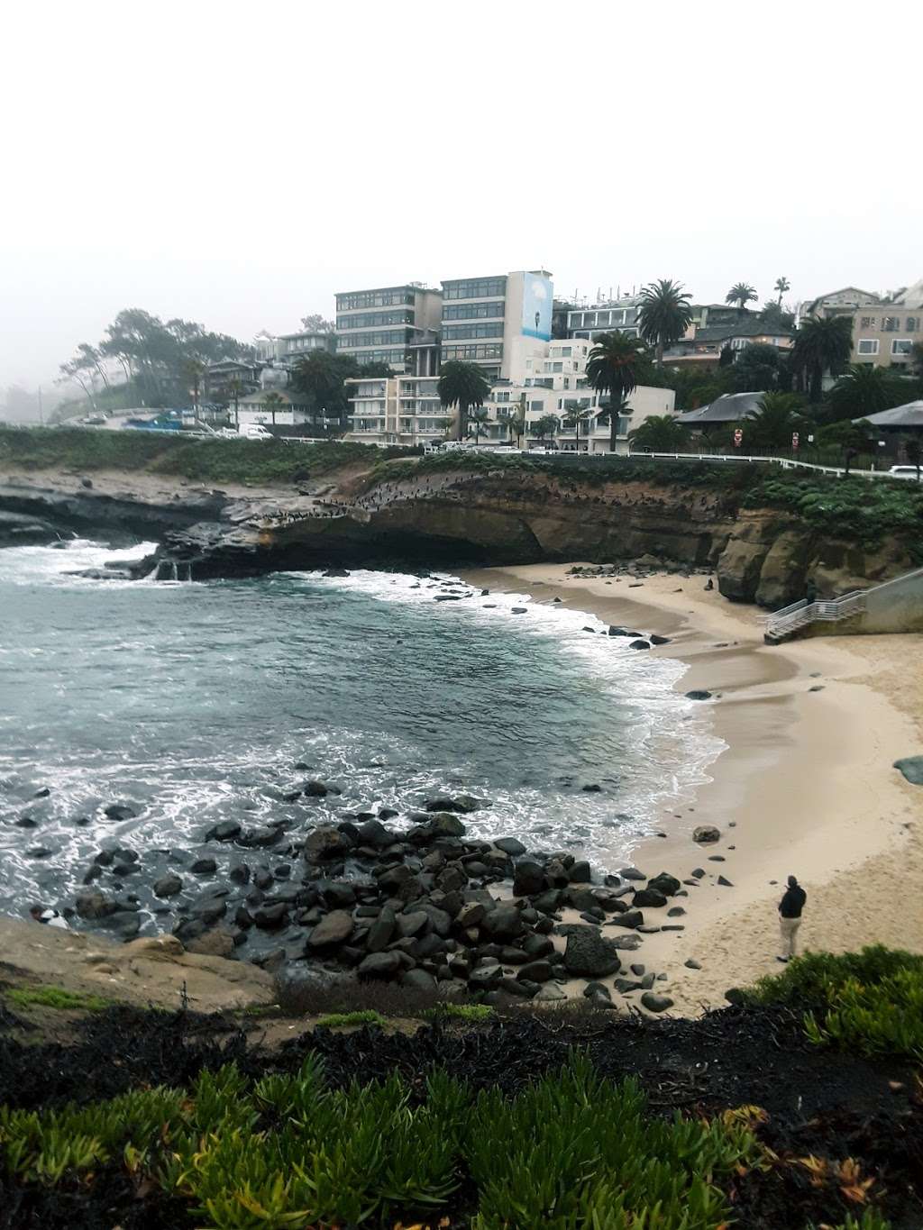 Tide Pool | 1160 Coast Blvd, La Jolla, CA 92037, USA