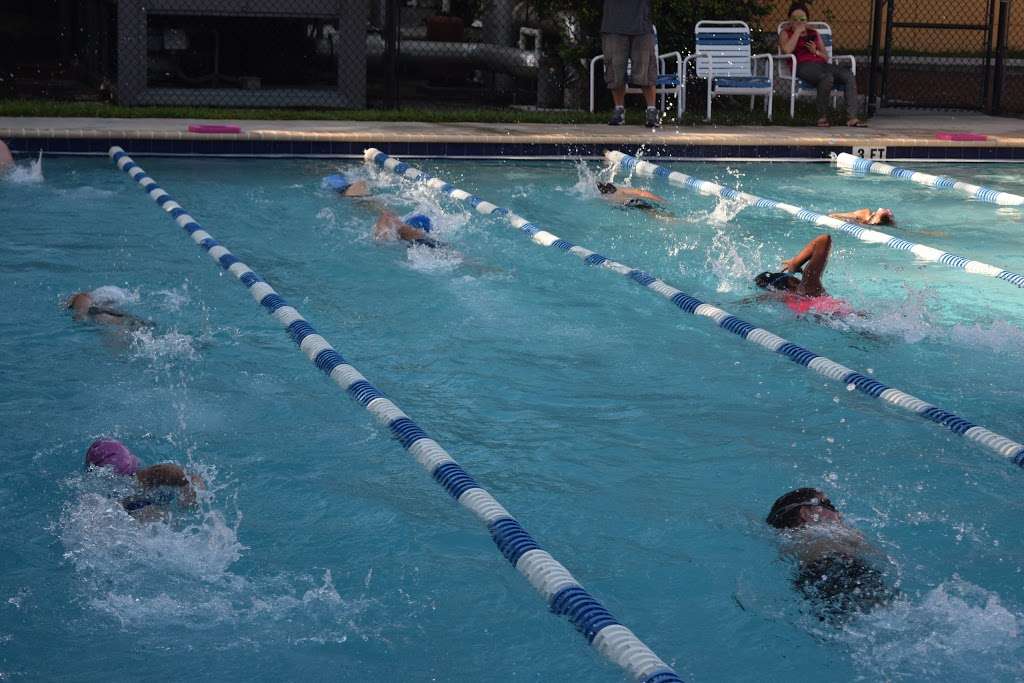 Swim Academy of Palm Beach County | 4696 Davis Rd, Lake Worth, FL 33461 | Phone: (561) 307-1003
