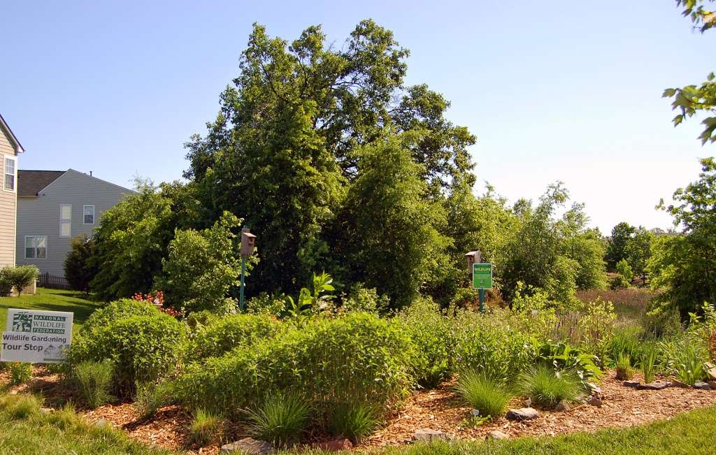 Cloverleaf Native Plant Demo Garden | Cloverleaf Ct, Ashburn, VA 20148, USA