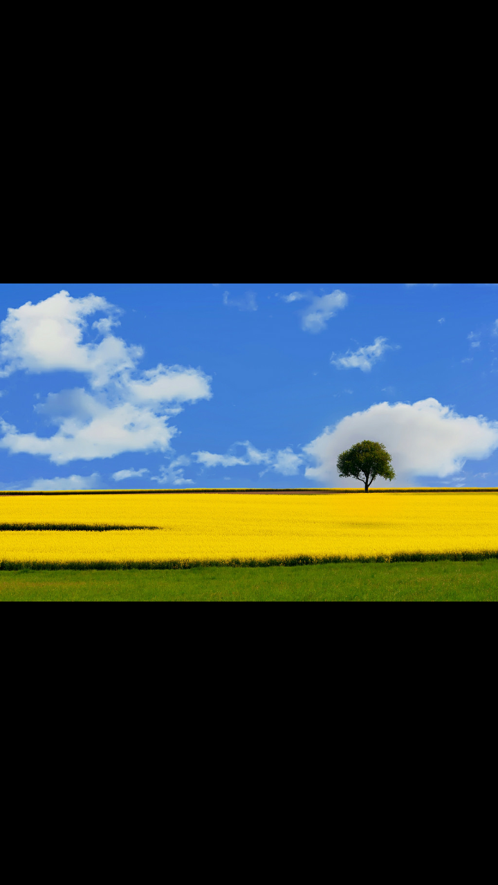 New Day Addiction Recovery | 3403 Garth Rd Suite #1403, Baytown, TX 77521, USA | Phone: (281) 973-0336 New Day Addiction Recovery | 3403 Garth Rd Suite #1403, Baytown, TX 77521, USA | Phone: (281) 973-0336