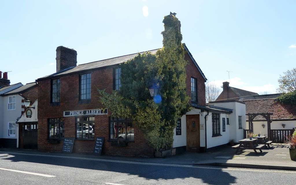 The Prince Albert | 1 The Green, Blackmore, Ingatestone CM4 0RT, UK | Phone: 01277 821705