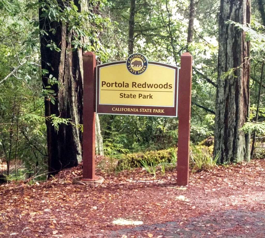 Portola Redwoods State Park | 9000 Portola State Park Rd, La Honda, CA 94020, USA | Phone: (650) 948-9098
