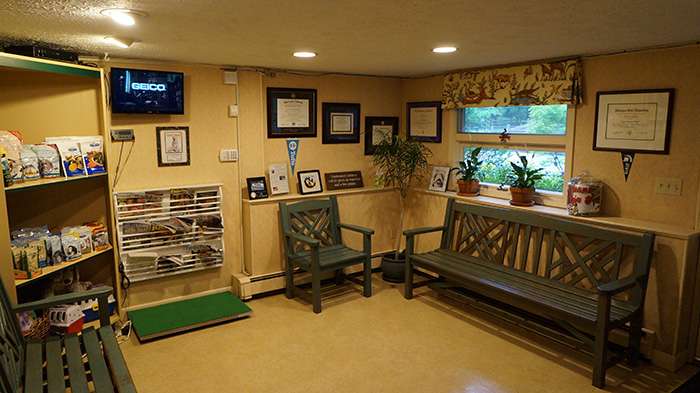 Duxbury Animal Hospital | 103 Depot St, Duxbury, MA 02332, USA | Phone: (781) 934-5300