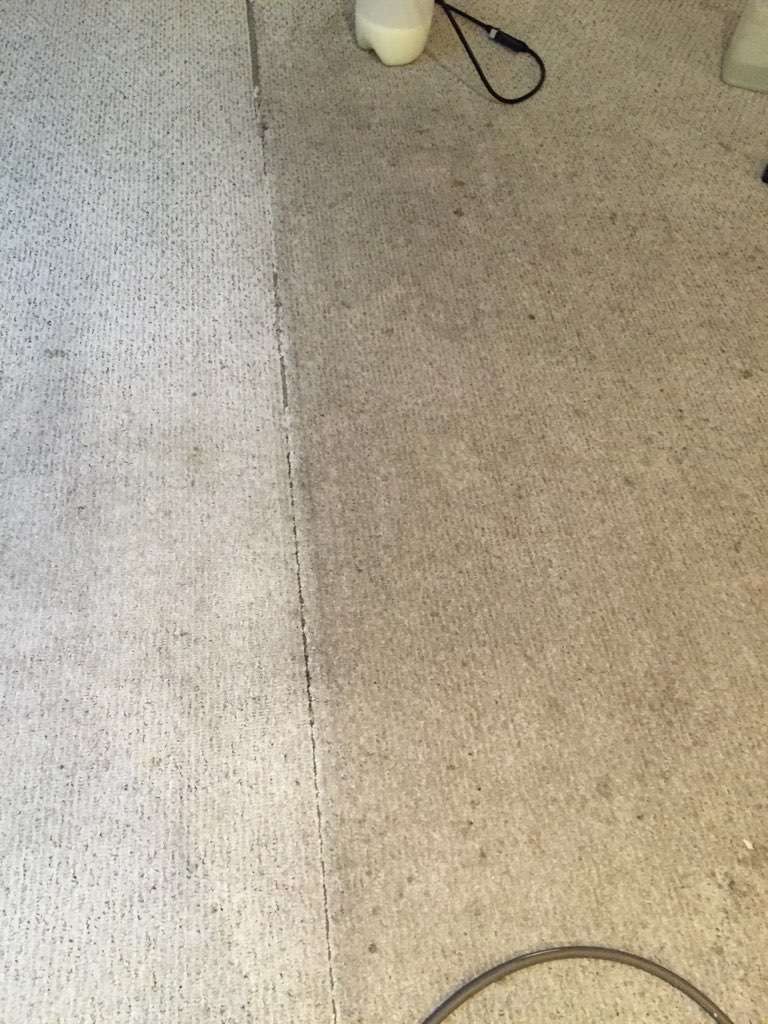 Ms. Carpet Clean | Carpet Cleaning Massachusetts | 30 Summit Rd, Saugus, MA 01906, USA | Phone: (781) 233-5800