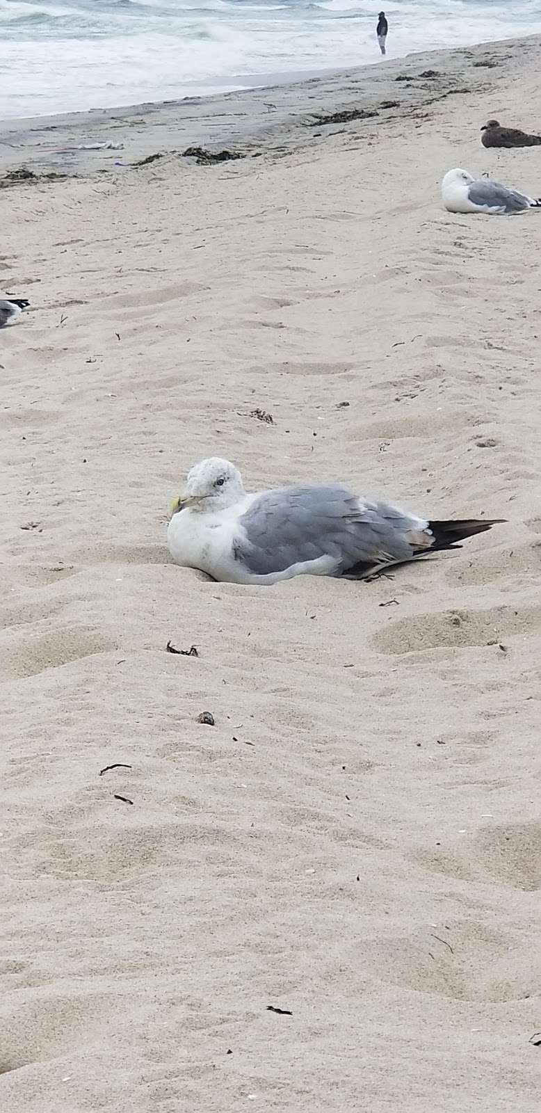 Public Beach | Beach Haven, NJ 08008