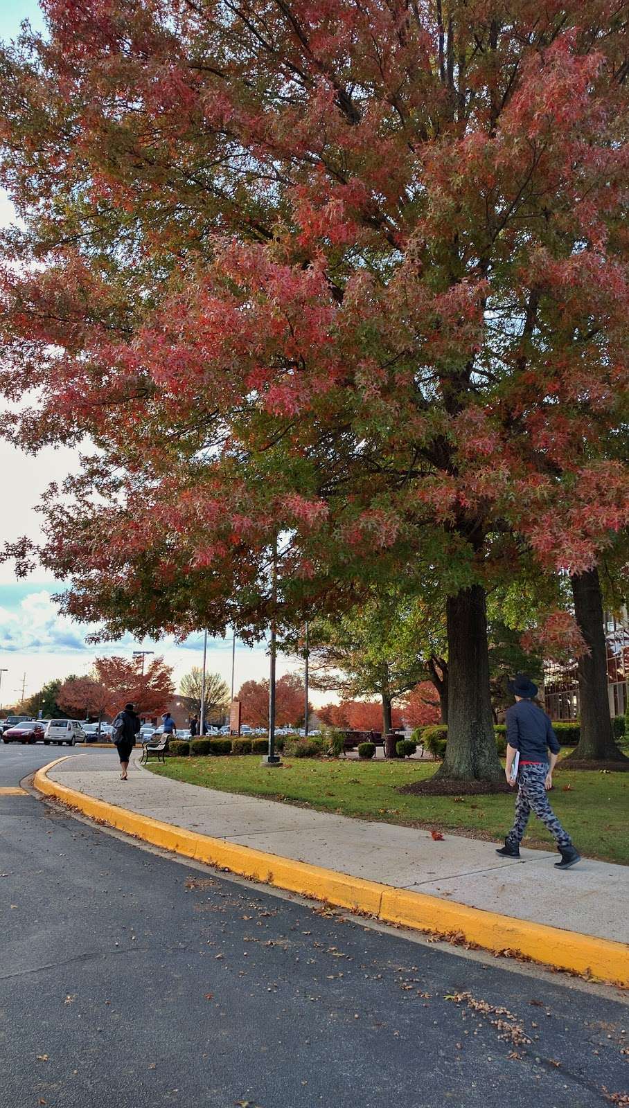 Goldey-Beacom College | 4701 Limestone Rd, Wilmington, DE 19808, USA | Phone: (302) 998-8814